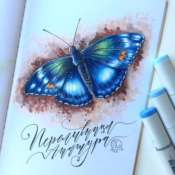 Бабочка фломастерами