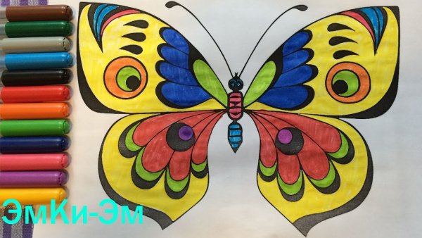 Раскрасить бабочку красками