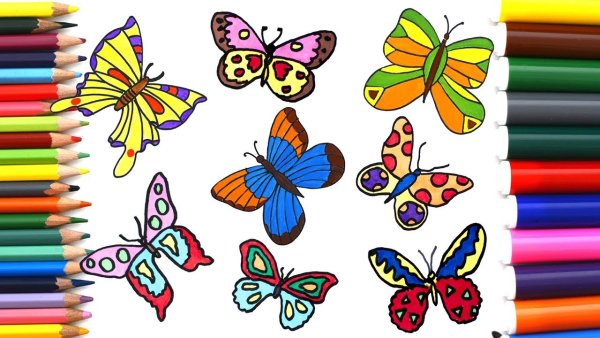 Бабочка фломастерами