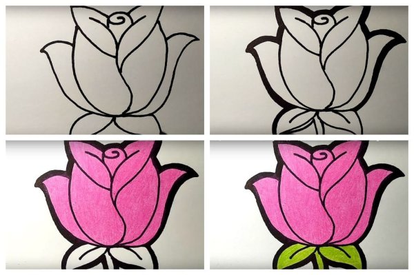 Рисунки лёгкие фломастерами роза