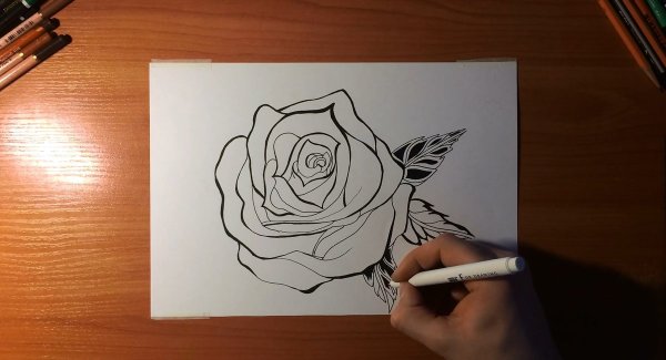 Роза маркерами