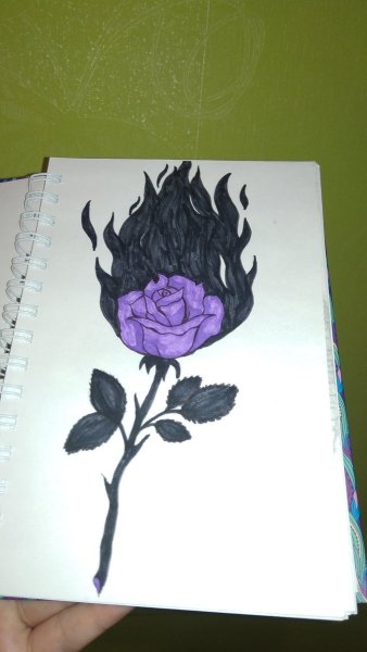 Рисунки розочек фломастером