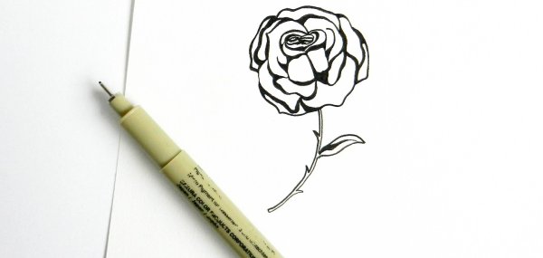 Роза рисунок маркером