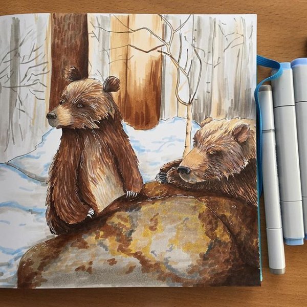 Скетчинг маркерами медведя