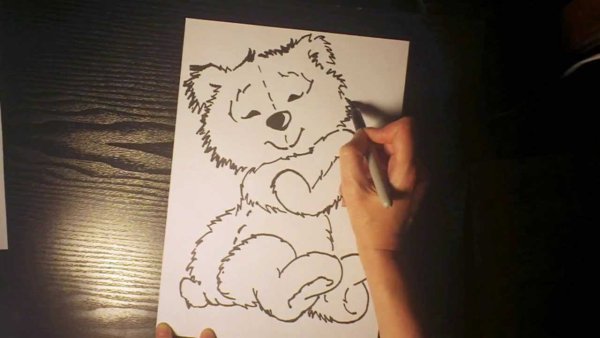 Рисунки маркерами мишка