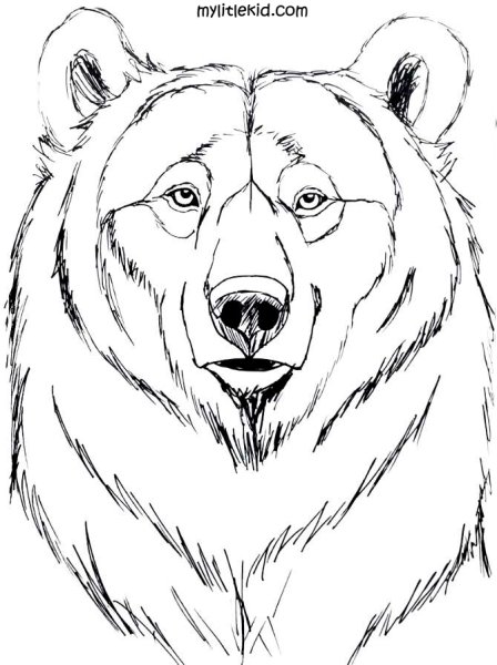 Медведь рисунок фломастерами