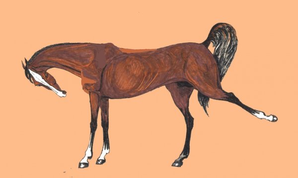 Рисунки лошадей фломастерами