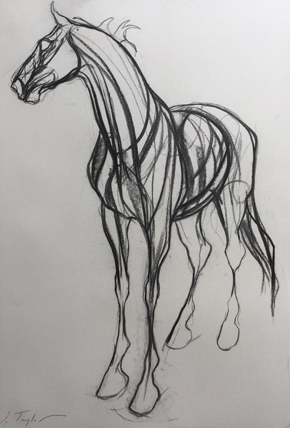 Конь маркером набросок