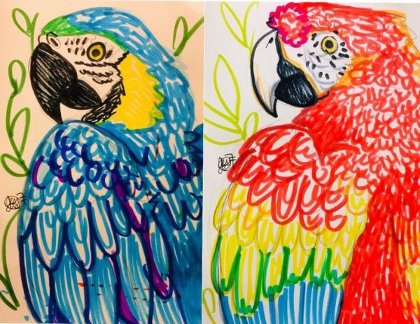 Попугай скетчи фломастерами