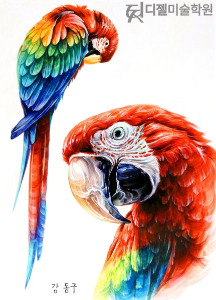 Рисунки маркерами попугай