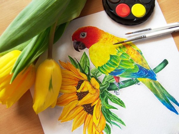 Попугай маркерами
