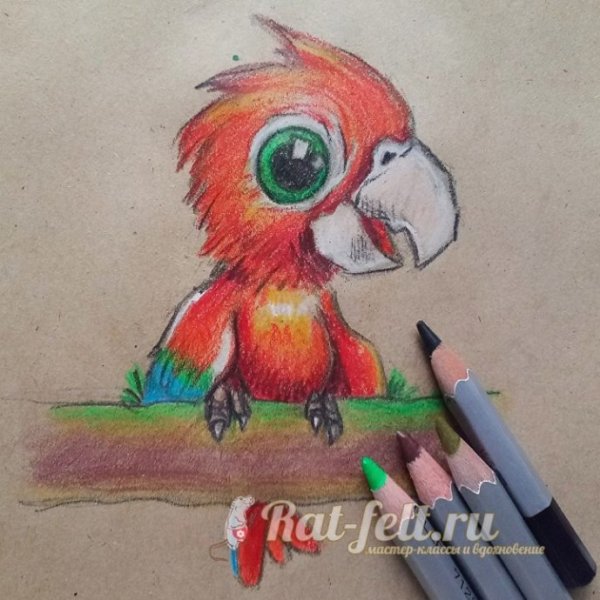Попугай фломастерами для детей