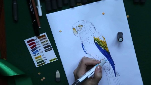 Рисунки маркерами