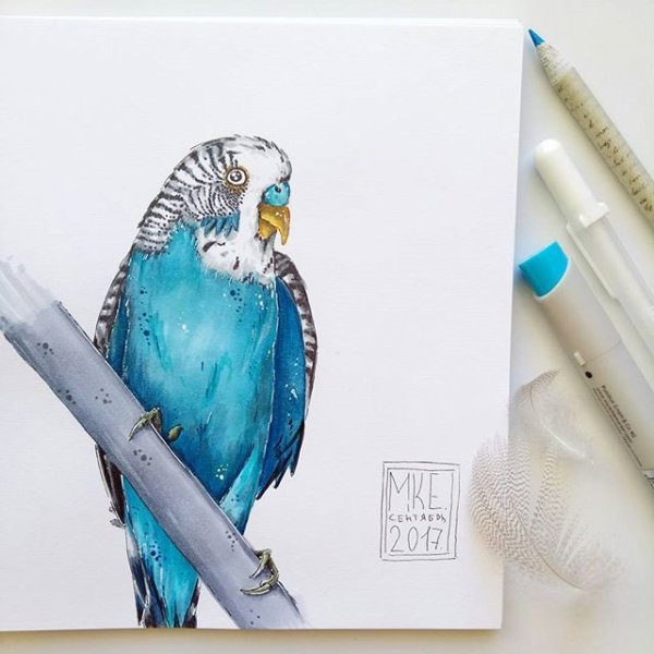 Дракон фломастером