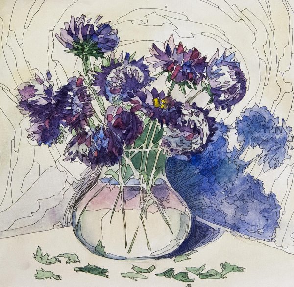 Скетчинг хризантемы