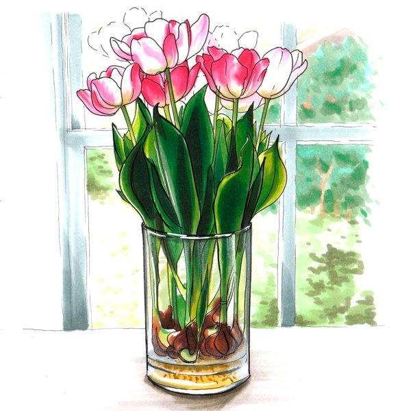 Тюльпаны в вазе рисунок для детей