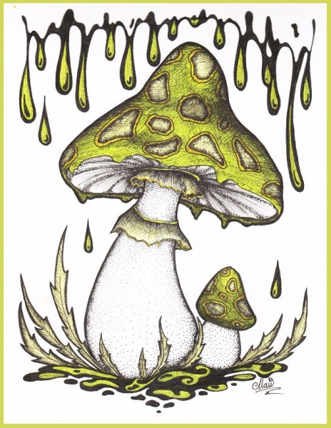 Поганка рисунок