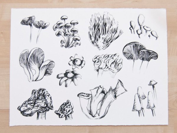 Грибы скетч