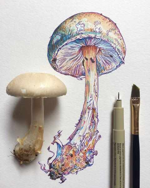 Необычные грибы акварелью