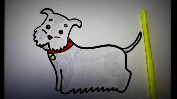 Собаки для срисовки маркерами