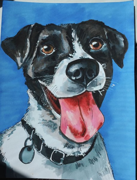 Собака рисунок