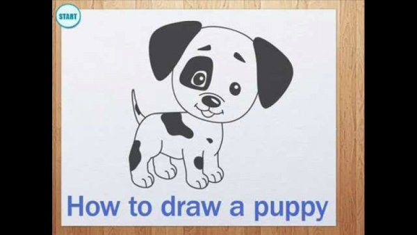 Щенок рисунок для детей легкий