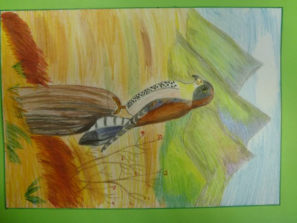 Степь рисунок