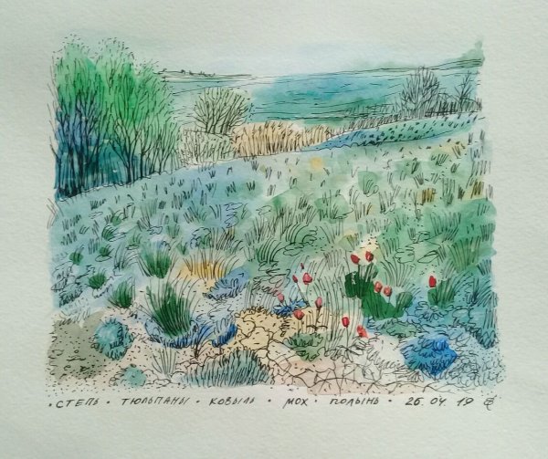 Степь рисунок