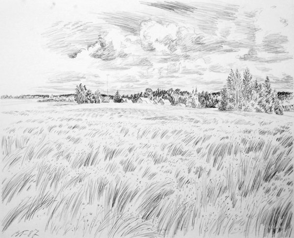 Рисунок Луга