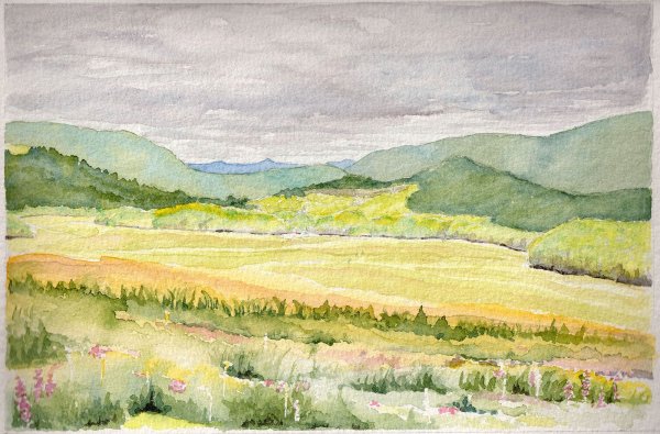 Степной пейзаж карандашом