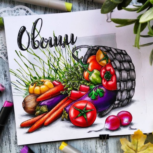 Скетчинг овощи и фрукты