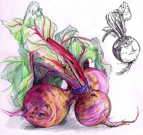 Лёгкие рисунки для скетчбука маркерами