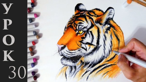 Рисунки маркерами