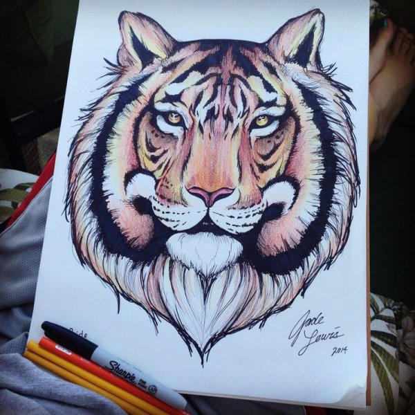 Тигр фломастерами
