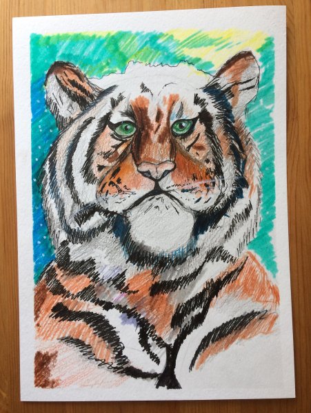 Рисование тигра маркерами