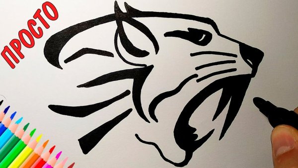 Нарисовать тигра легко