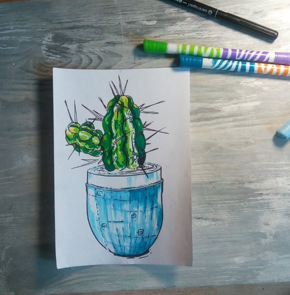 Кактус в горшке маркерами