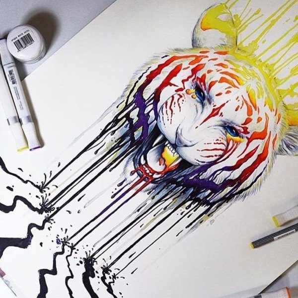 Кот маркерами