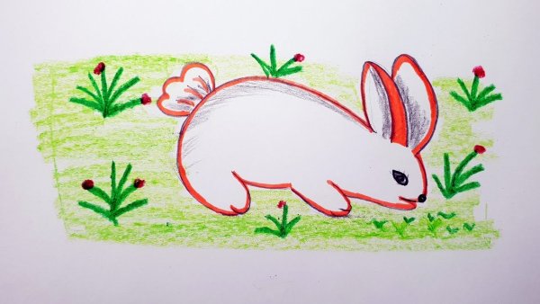 Кролик рисунок для детей фломастером
