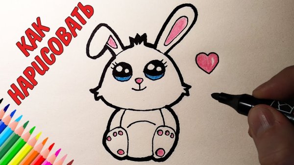 Зайка фломастером
