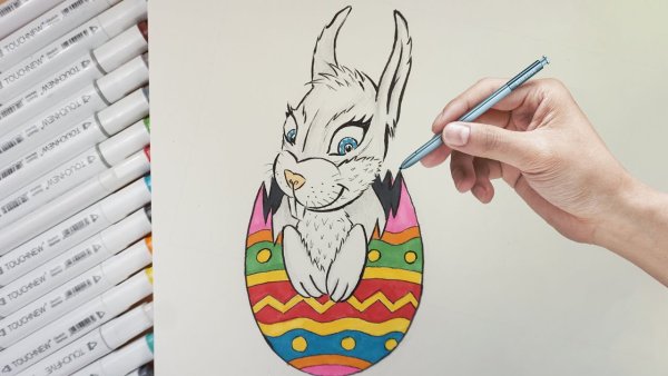 Кролик рисунок маркерами