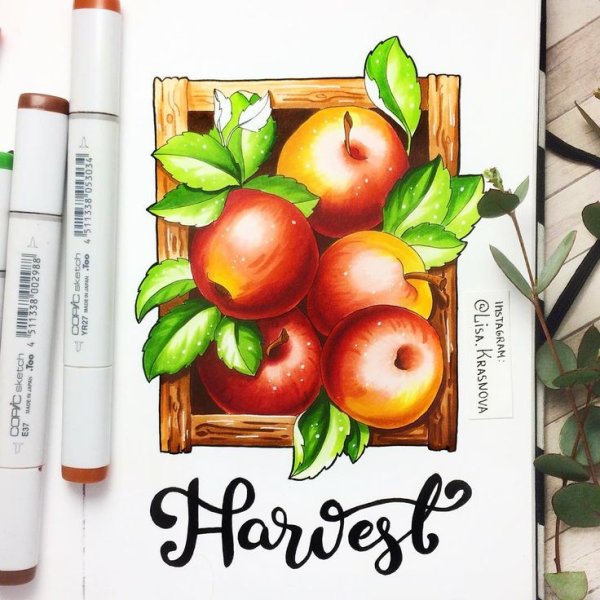 Скетчинг маркерами фрукты