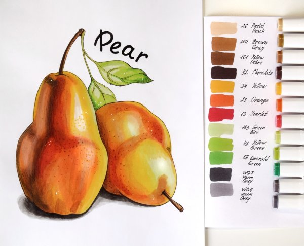 Скетчинг груша маркерами для начинающих