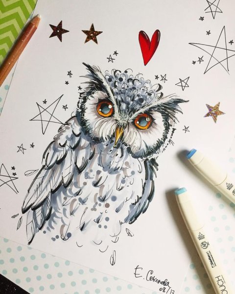 Иллюстрация Сова маркерами