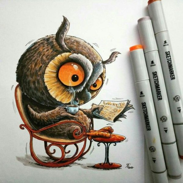 Сова маркерами