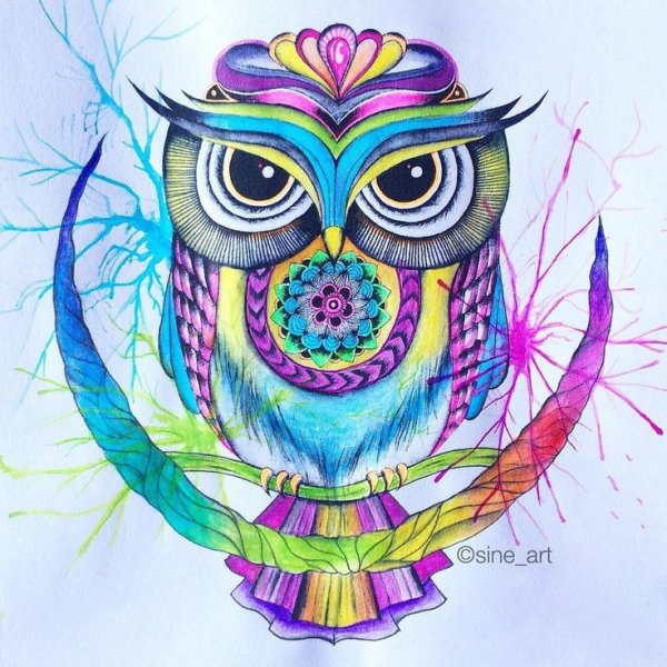 Сова скетчинг карандашом