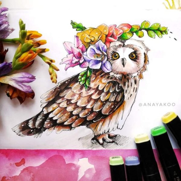 Скетчинг Сова