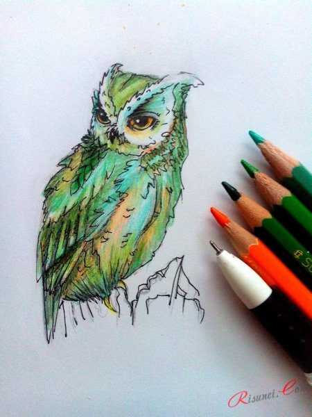 Сова маркерами