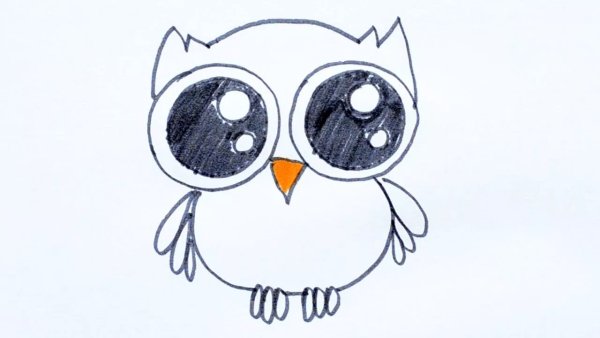 Тату Сова акварель эскиз