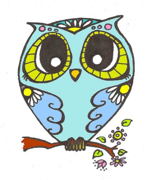 Разноцветная Сова